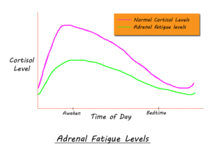 Adrenal Fatigue SF