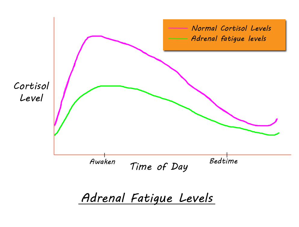 Adrenal Fatigue SF